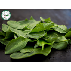Oseille botte -
