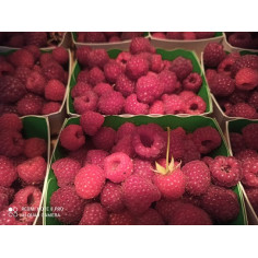 Framboise -