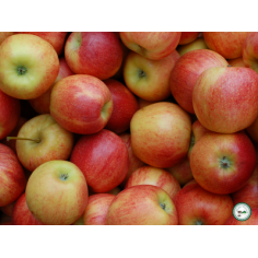 Plateau pomme de terre nouvelle spunta" - Plateau 10kg"