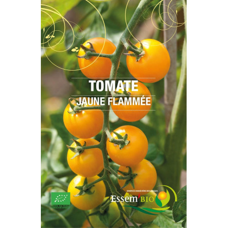 Plant tomate poivron jaune" - "