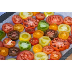 Plant tomate assortiment surprise" - 6 Plants"