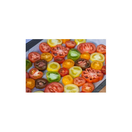 Plant tomate assortiment surprise" - 6 Plants"