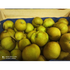 Pomme canada" - 1kg"