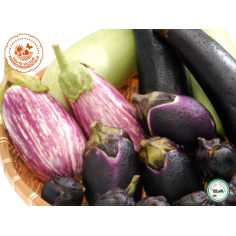 Aubergine variétés diverses 500g -