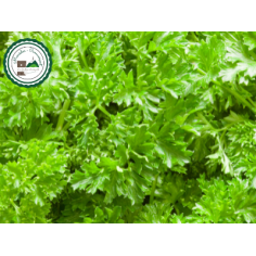 Persil -
