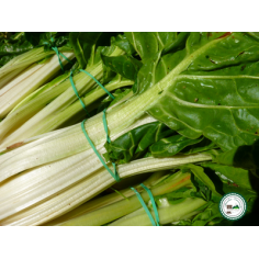 Blette - Blette verte 500g