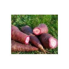 Carotte - 500g