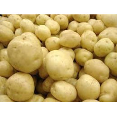 Poivron - 2 à 5 pièces (500-600g)