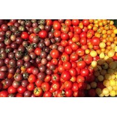 Tomate cocktail -