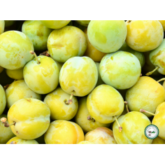 Prune -