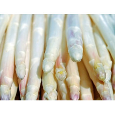Asperge - Blanche 350G