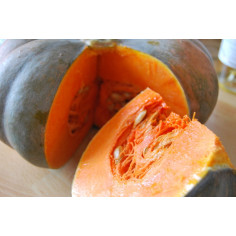 Courge de musqué - 1 kg
