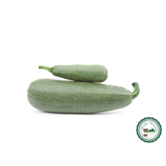 Courgette - Grosse courgette ronde