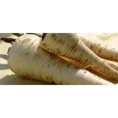 Panais - 1 kg