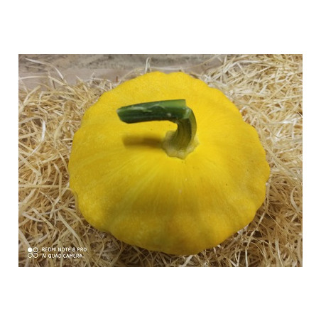 Piment jaune -