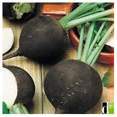 Radis noir rond - 250g