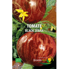 Plant tomate beauté blanche" - "