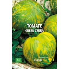 Plant tomate green zebra" - "