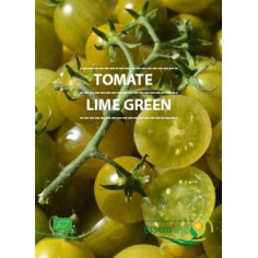 Plant tomate lime green" - "