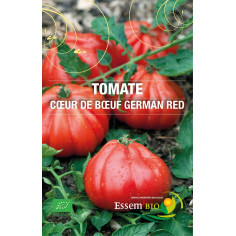 Plant tomate german red" - "