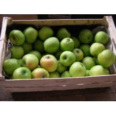 Pomme golden" - 1 Kg"