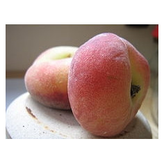 Peche plate-500g -