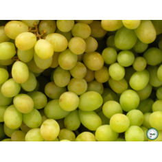 Raisin blanc - 1kg