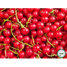 Groseille - 125g -
