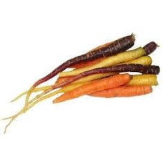 Carotte botte -