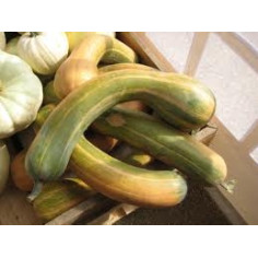 Pleine de naples 1kg -