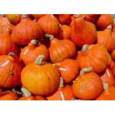Potimmarron-1kg -