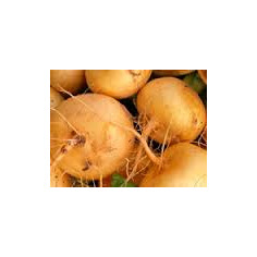 Rave boule d'or - 500g