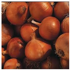 2 kg oignon jaune -