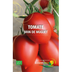 Tomate cerise - 250g