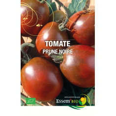 Tomate cerise - 1kg
