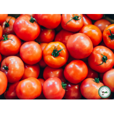 Tomate ronde - 1Kg