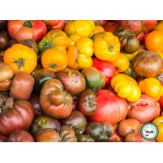 2.5 kg assortiment de tomate -