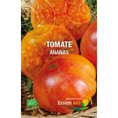 Plant tomate ananas" - "