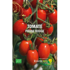 Tomate cerise new hampshire" - "