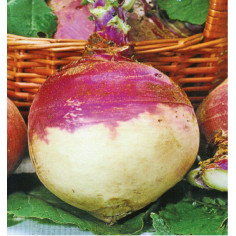 10 plant rutabaga champion" - "