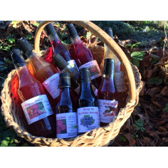 Sirop de baies de sureau -