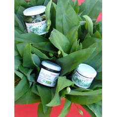 Pesto d'ail des ours -