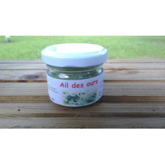 Ail des ours en poudre -