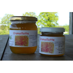 Gelée de fleurs de pissenlit ou cramaillotte -