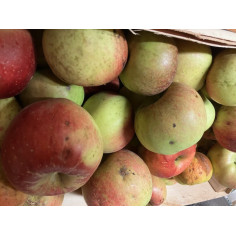 Pommes vertes, acidulées -