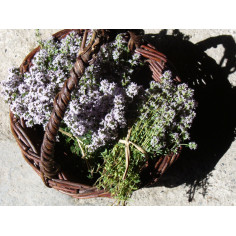 Bouquet de thym sec -