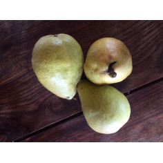 Poires-1kg -