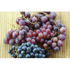 Raisin en mélange-1kg -