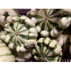 Patisson blanc -