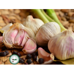 Ail rose d'auvergne - 1kg